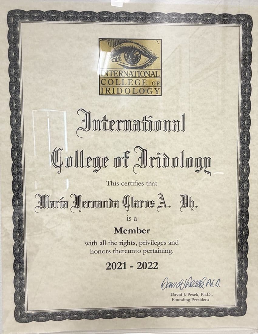 International College of Iridology